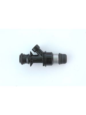 Mini Delphi Flex fuel injectors